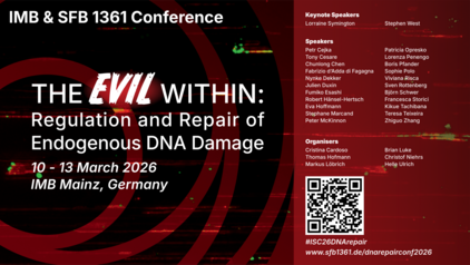 Powerpoint Slide - Full